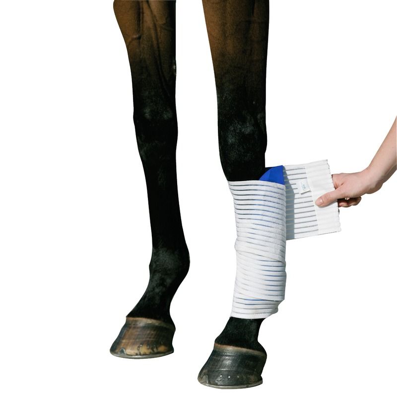 stübben Kyro Kompakt Horse elastische Bandage - uni  - Stck.
