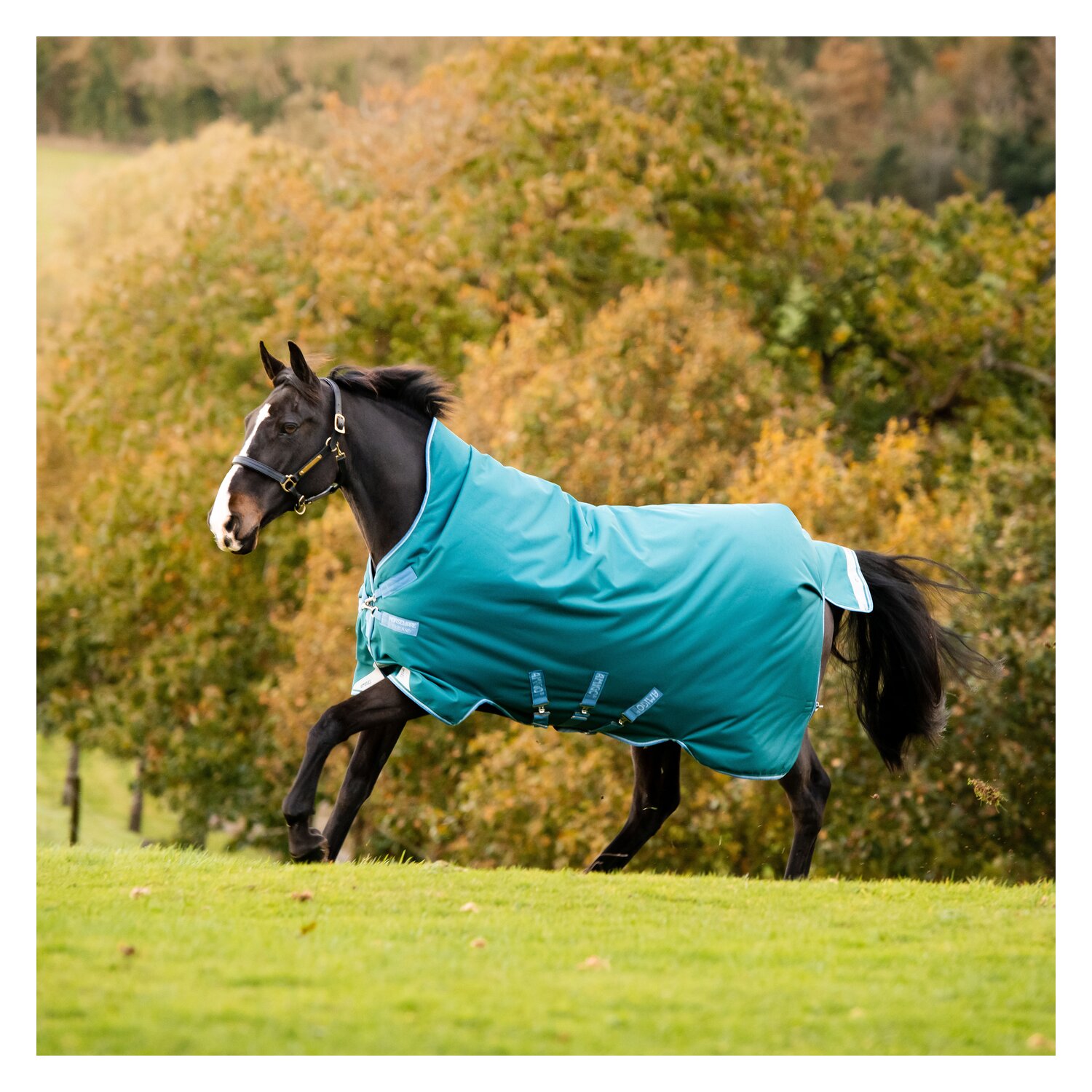 HORSEWARE Outdoordecke Regendecke Amigo Bravo 12 Wug Lite 0g - green/turquoise - 145 cm