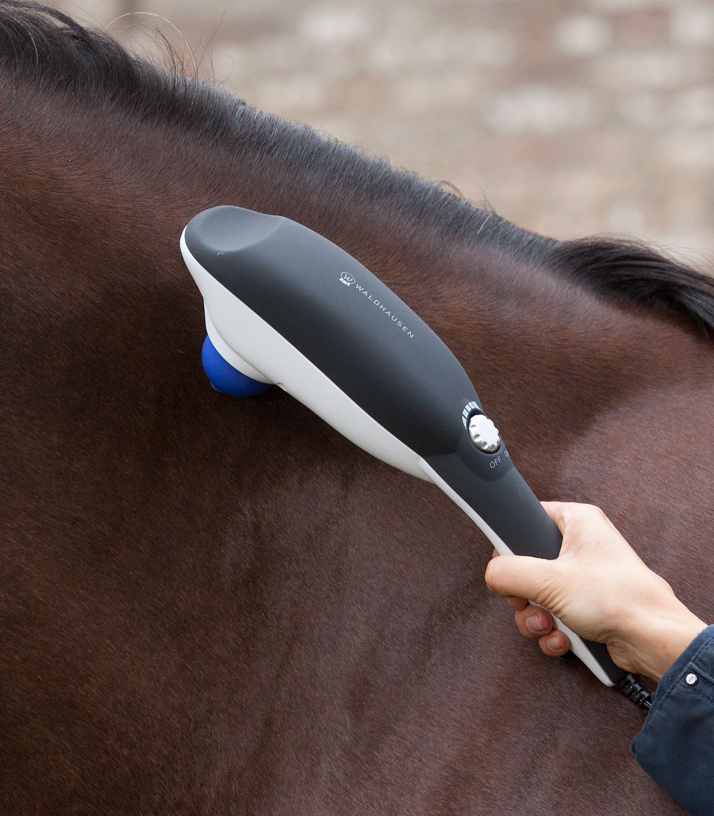elektronisches Massagegerät Anwendung am Pferdehals