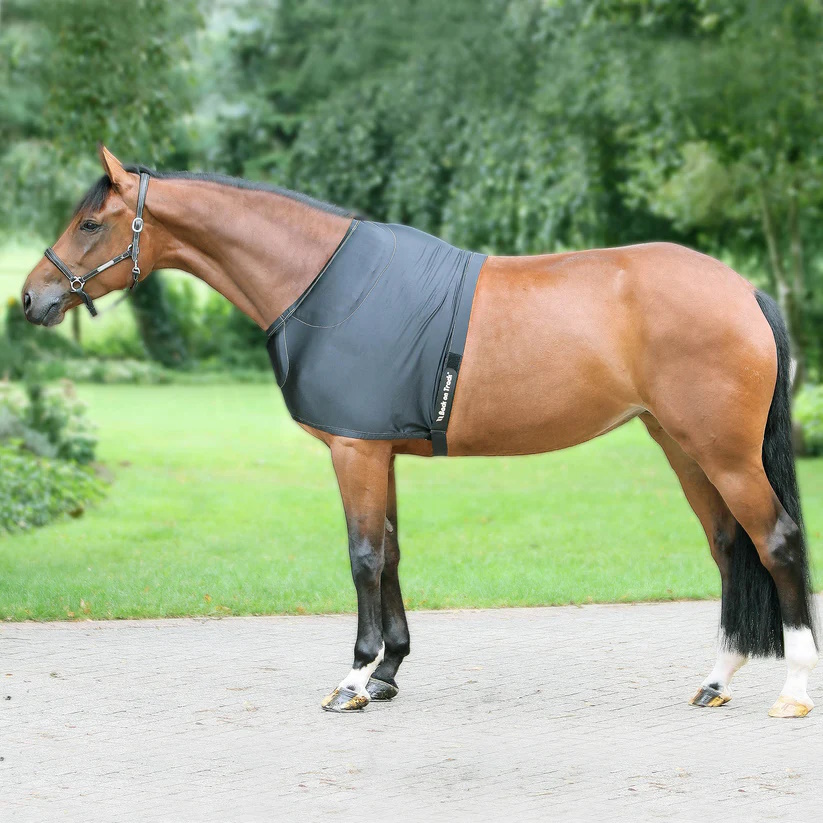 Schulterschutz Pferd mit Welltex