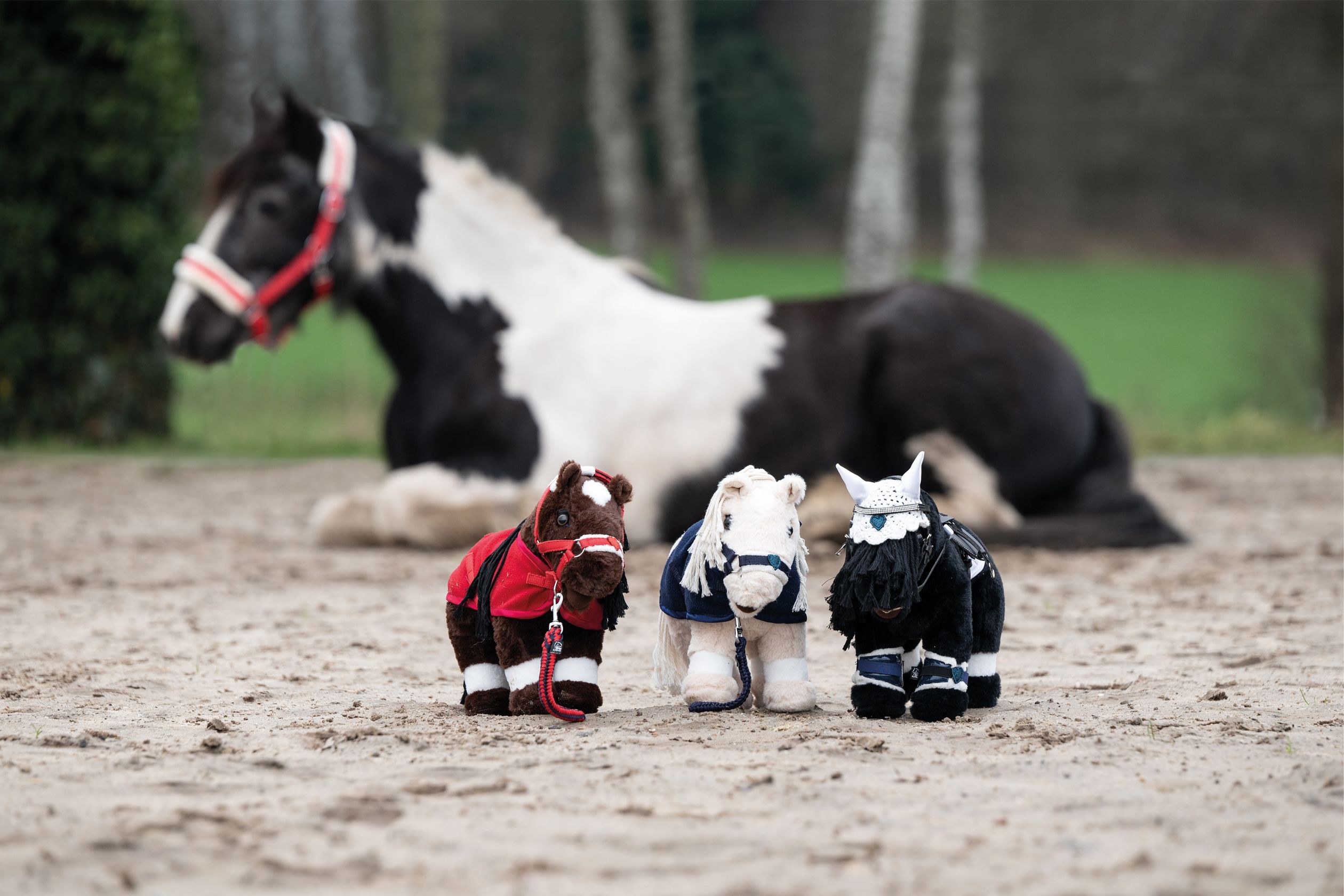 HKM Cuddle Pony, Spielzeug Pony - schwarz - Stck. - 4