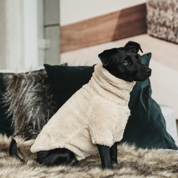 KENTUCKY Hundepullover Teddyfleece - beige - 48cm - 2