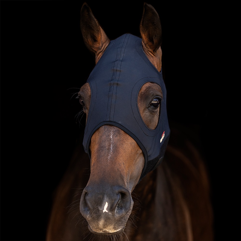 Braunes Pferd mit Titan-Mask Come Best Gesichtsmaske ohne Ohren im Dunkeln.