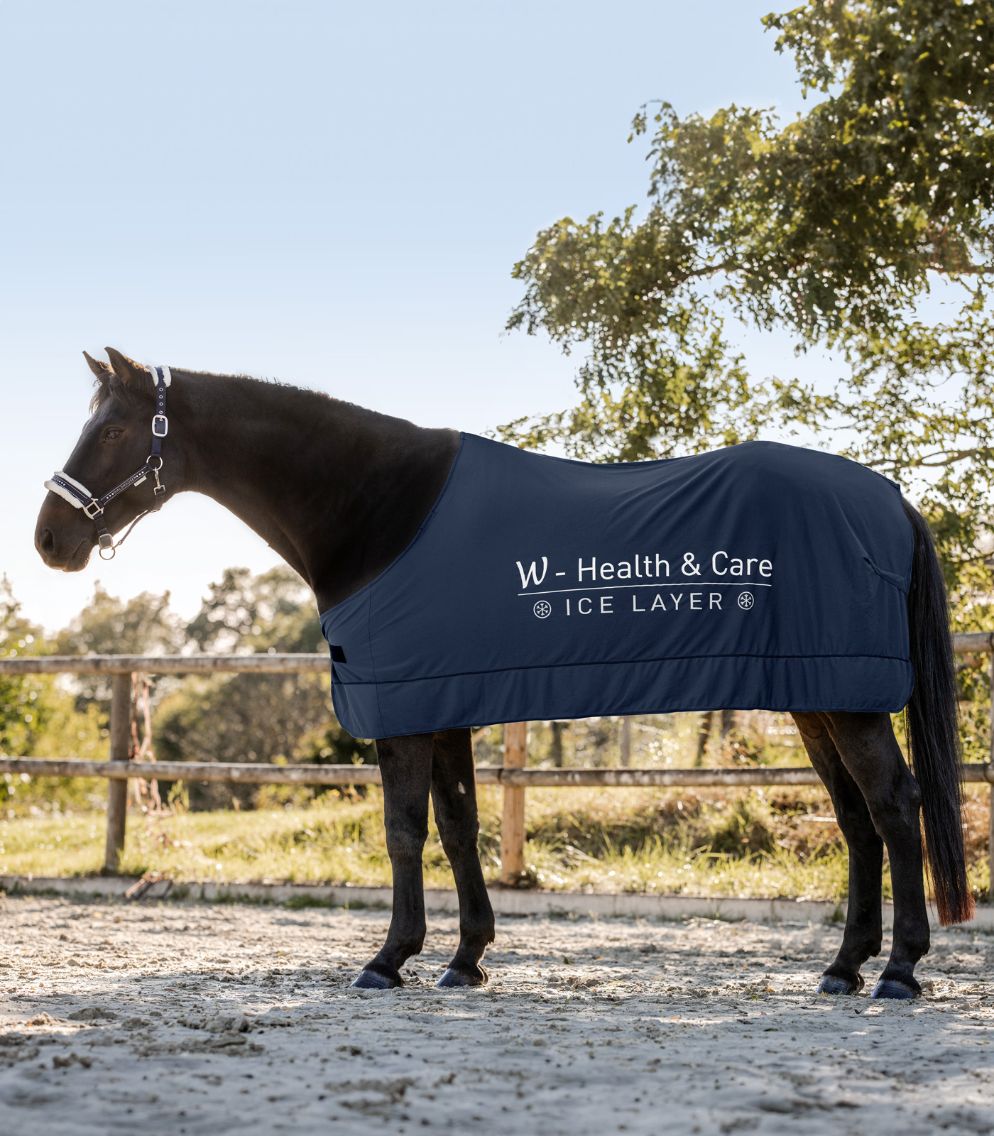 Pferdedecke zum Kühlen W-Health & Care Ice Layer