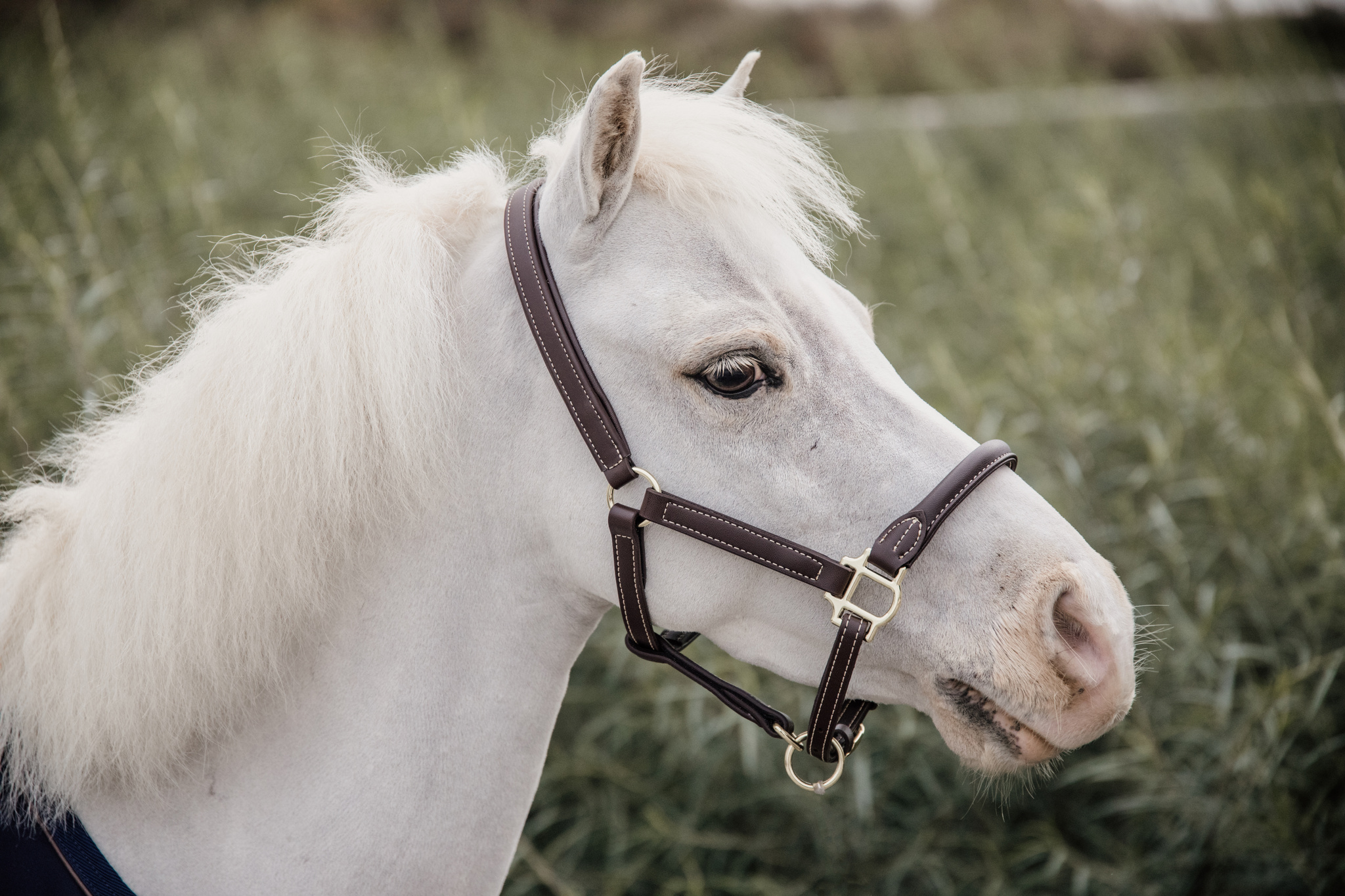 KENTUCKY Halfter Kunstleder mit Kunstfell - braun - Pony - 2