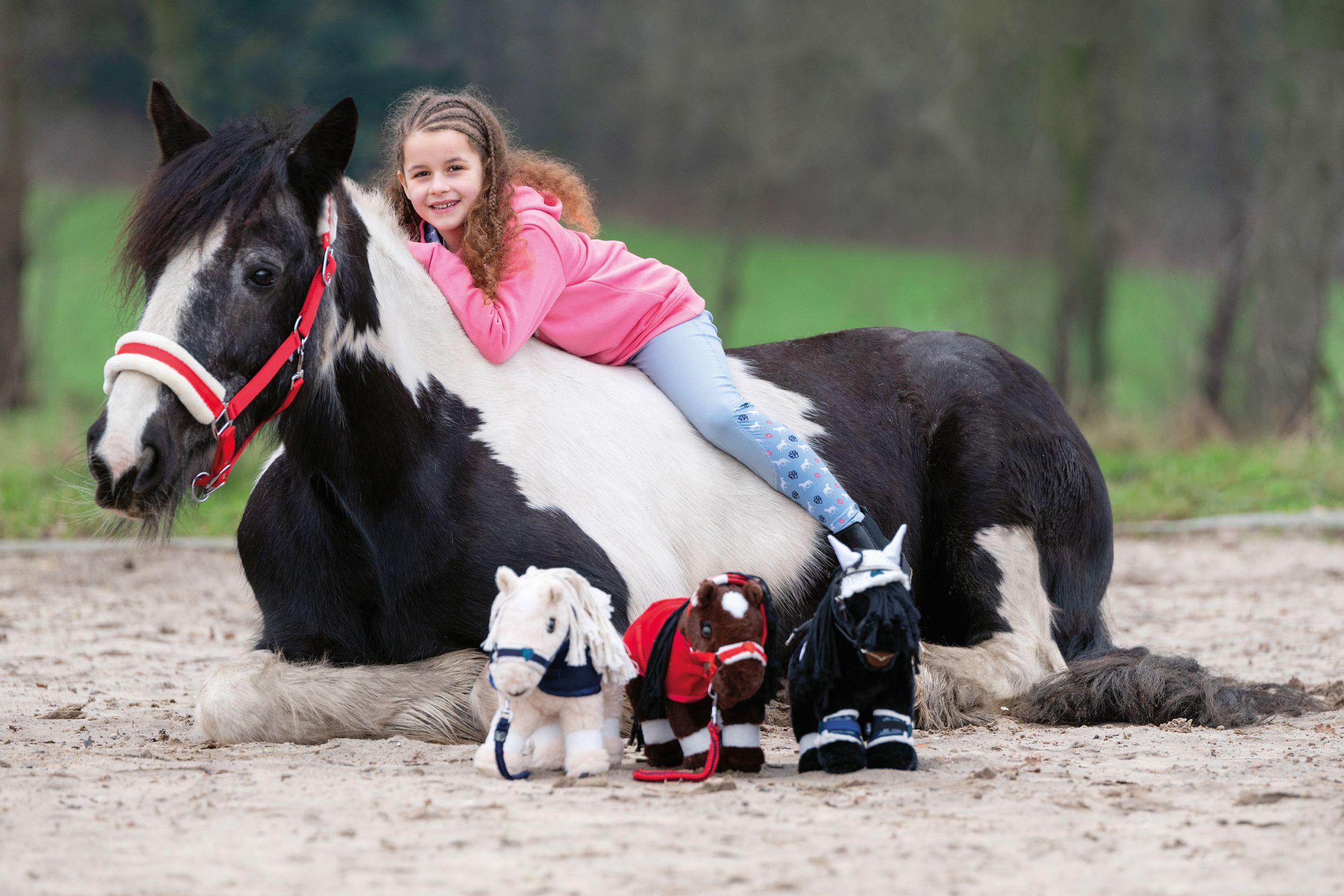 HKM Cuddle Pony, Spielzeug Pony - schwarz - Stck. - 5