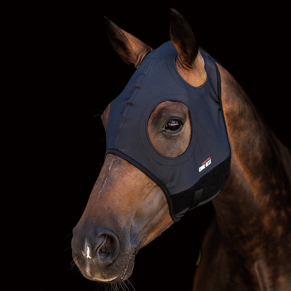 LAMI-CELL Titanium Mask Come Best ohne Ohren, Pferdemaske - black - L - 1