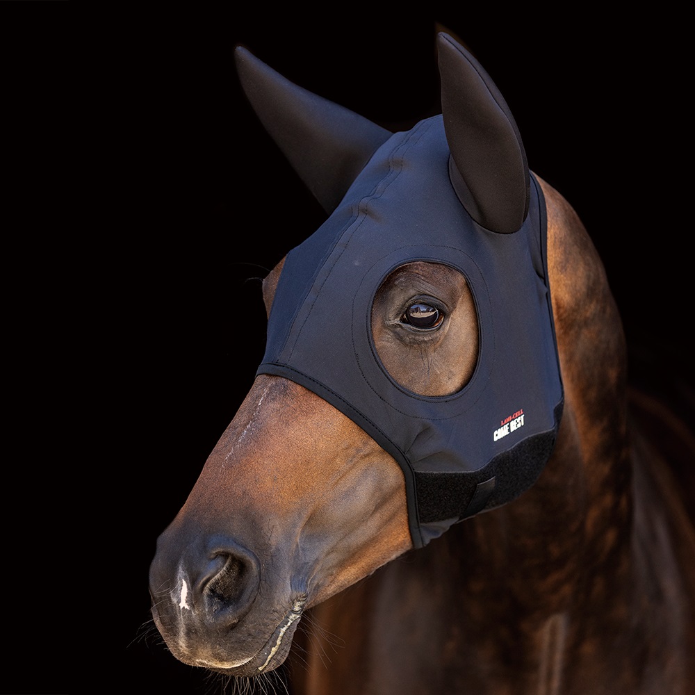 Braunes Pferd mit schwarzer Titanium Mask Come Best Gesichtsmaske, inklusive Ohrenschutz.